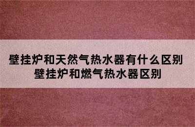 壁挂炉和天然气热水器有什么区别 壁挂炉和燃气热水器区别